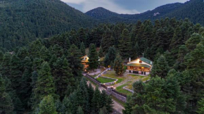 Dandy on the hill Chalet Artemis - Fir Forest - Jeep & Nature Lovers